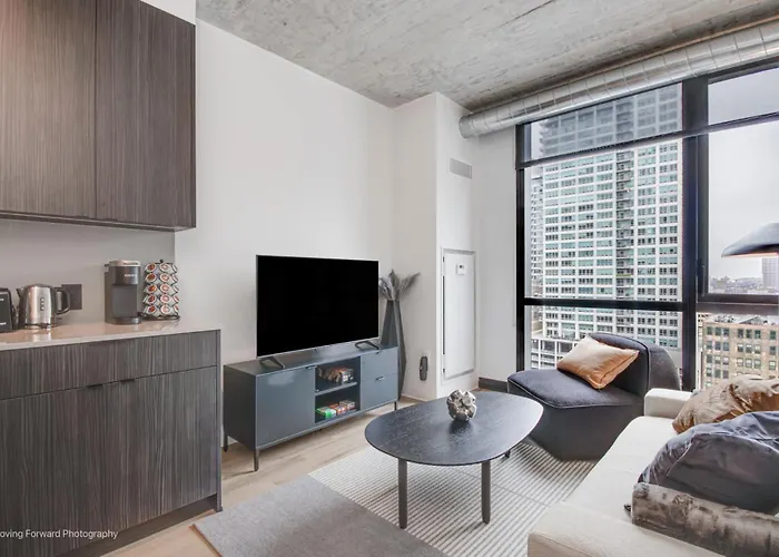 South Loop Rooftop With In & Out Parking 1 *