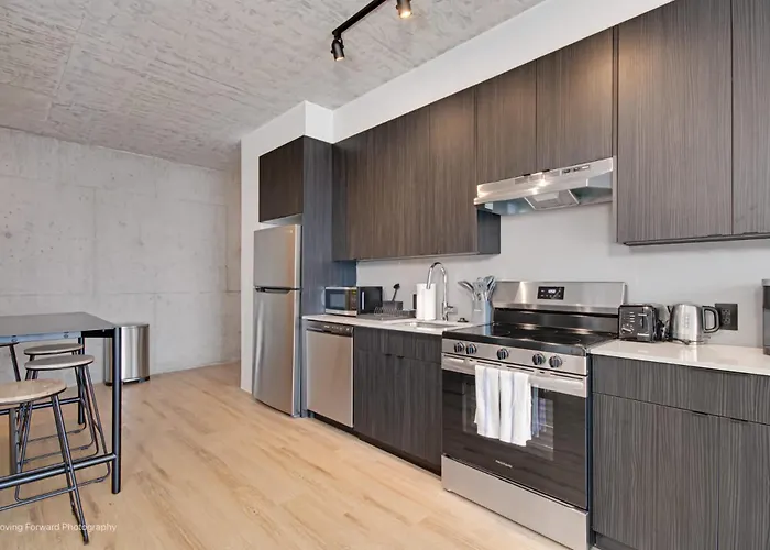 Apartamento South Loop Rooftop With In & Out Parking 1 Chicago