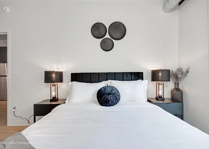 South Loop Rooftop With In & Out Parking 1 *