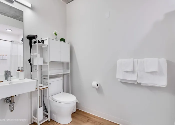 South Loop Rooftop With In & Out Parking 1 *