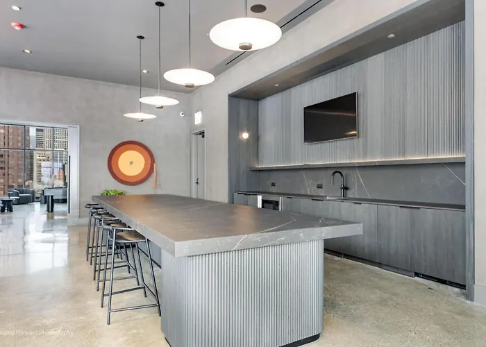 Apartamento South Loop Rooftop With In & Out Parking 1 Chicago